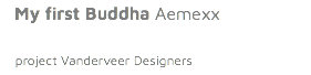 My first Buddha Aemexx project Vanderveer Designers